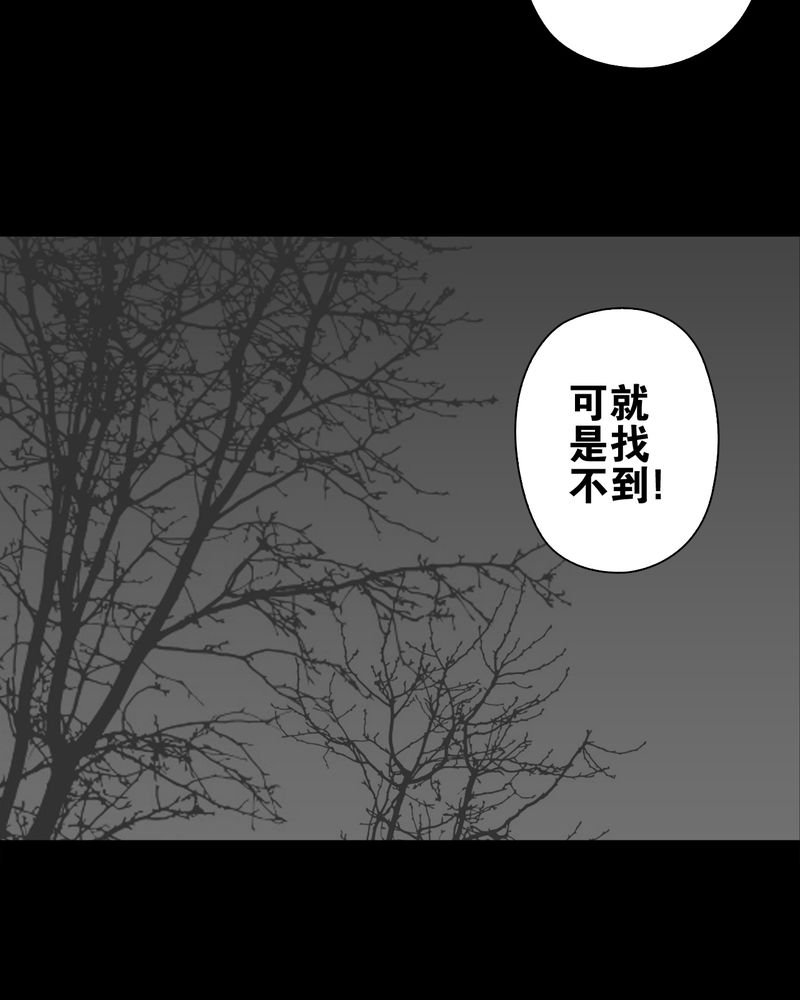 第73章：改变历史