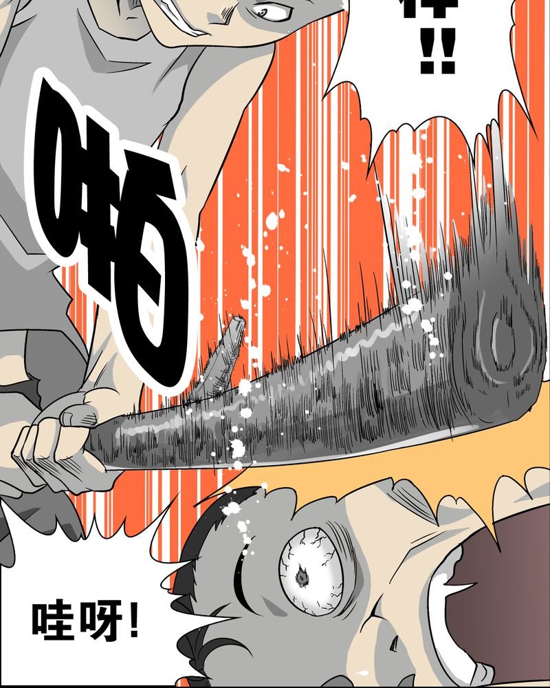 第74章：古怪的肉