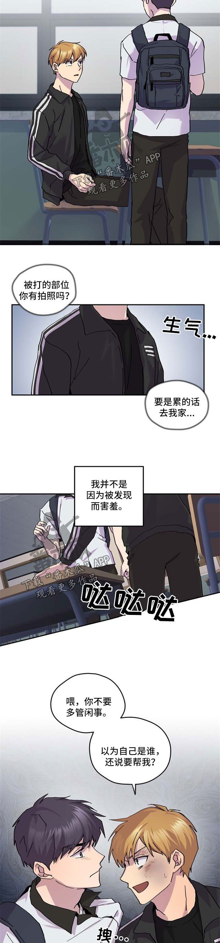 第41章：我喜欢你