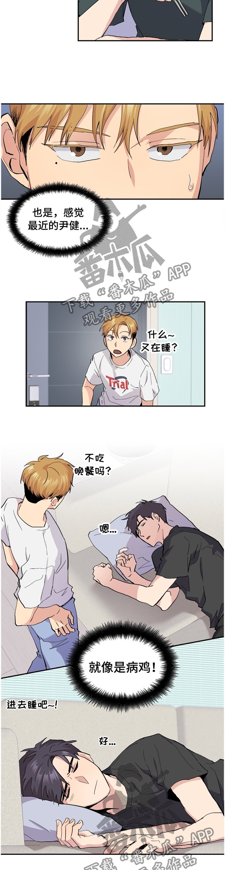 第47章：【番外】"露营"