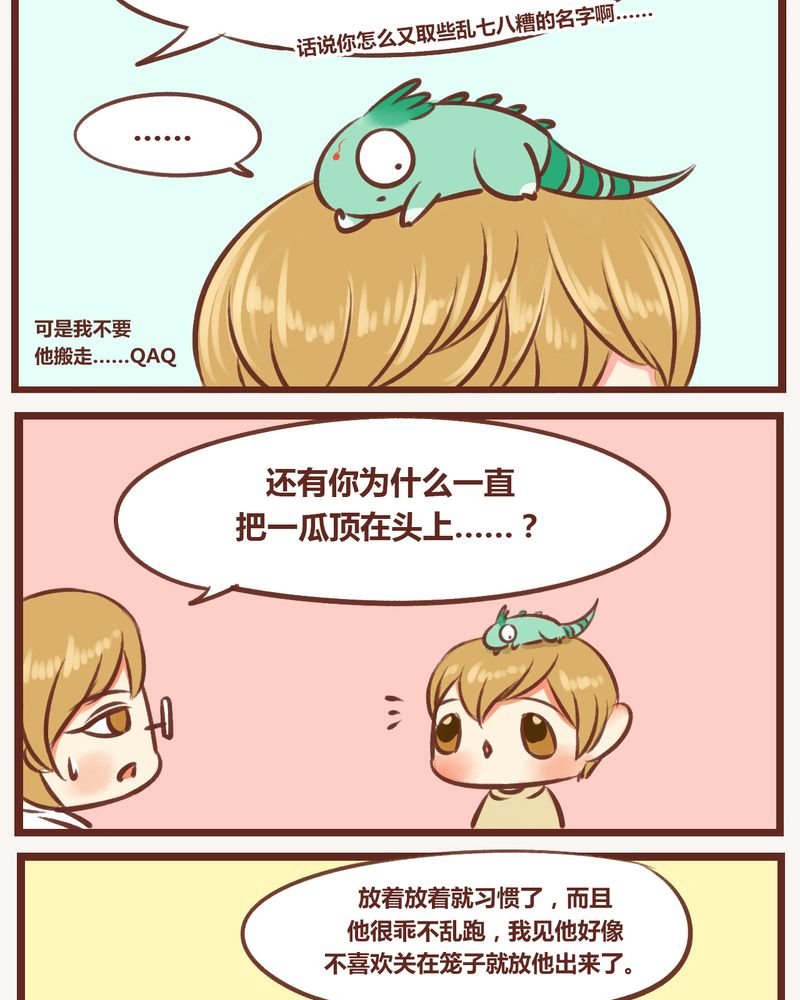 第11章：