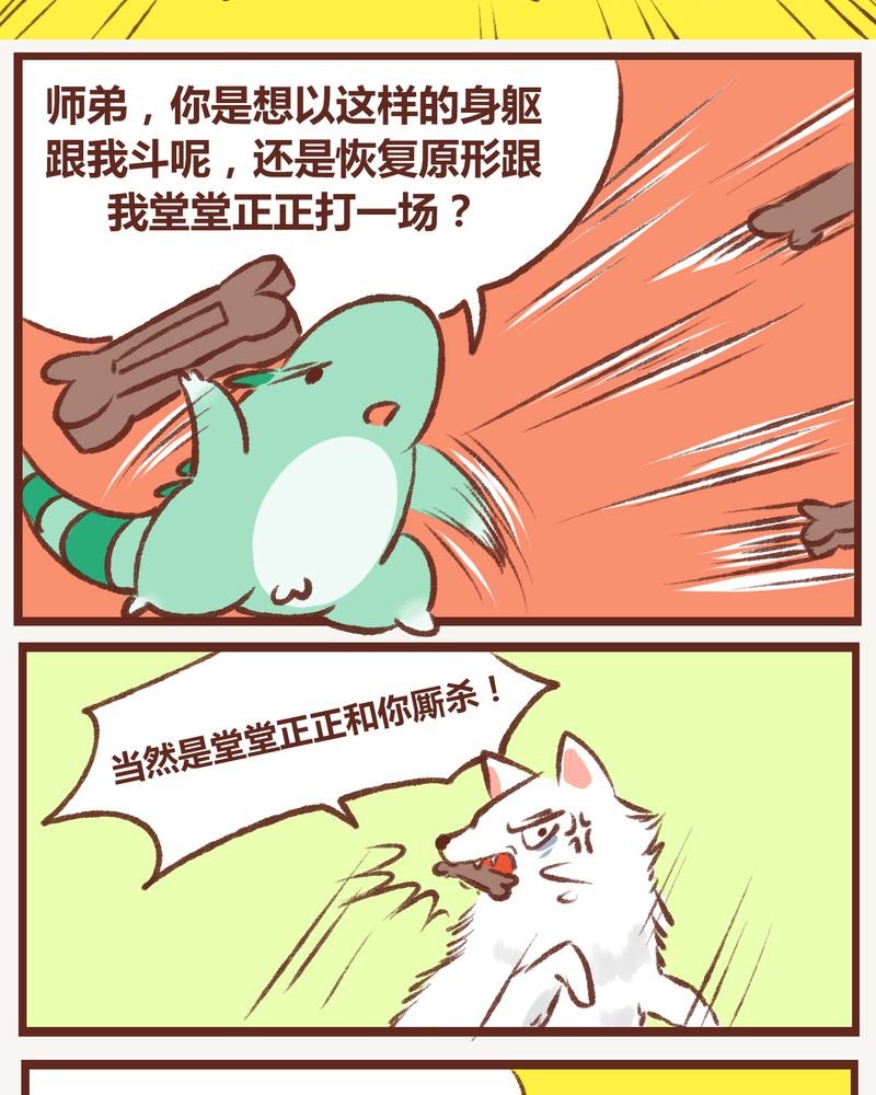 第11章：