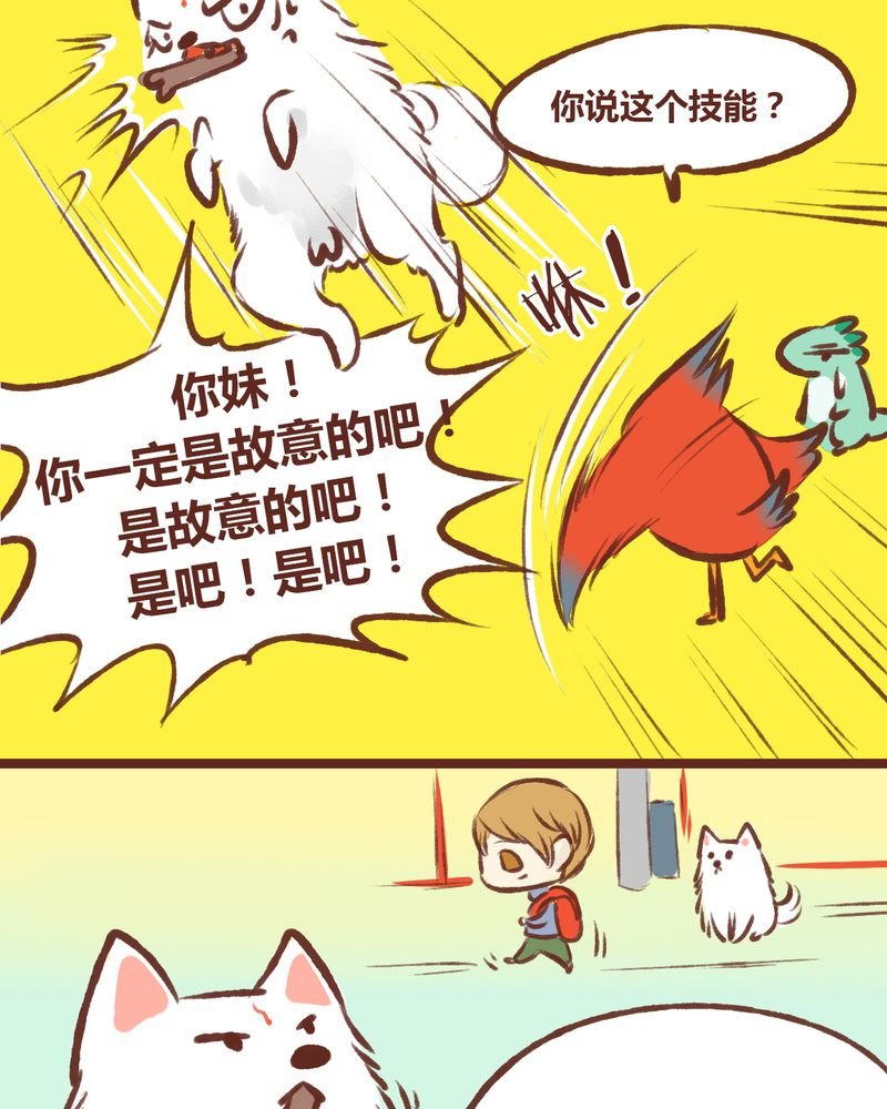 第11章：