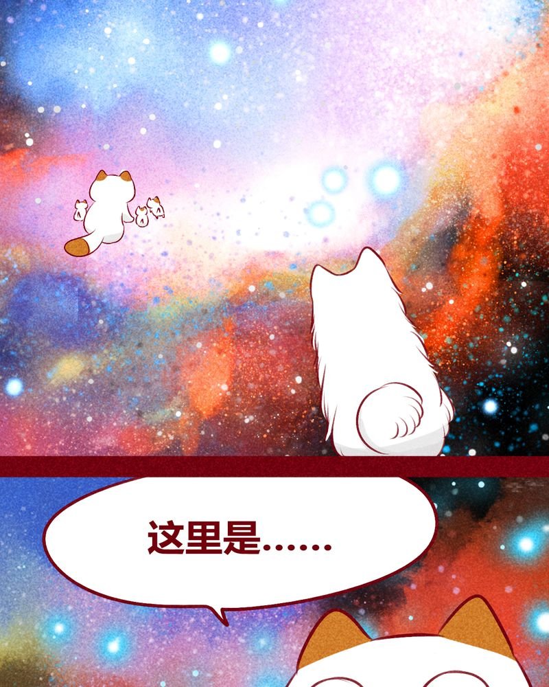 第113章：
