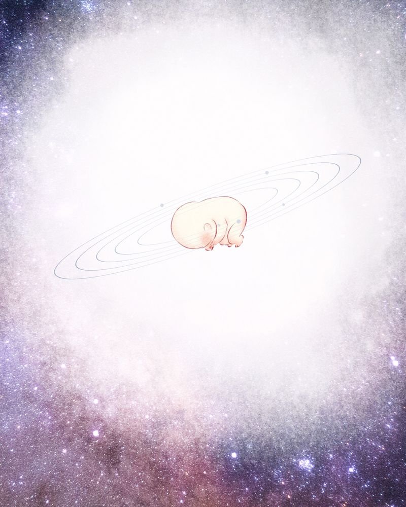 第113章：