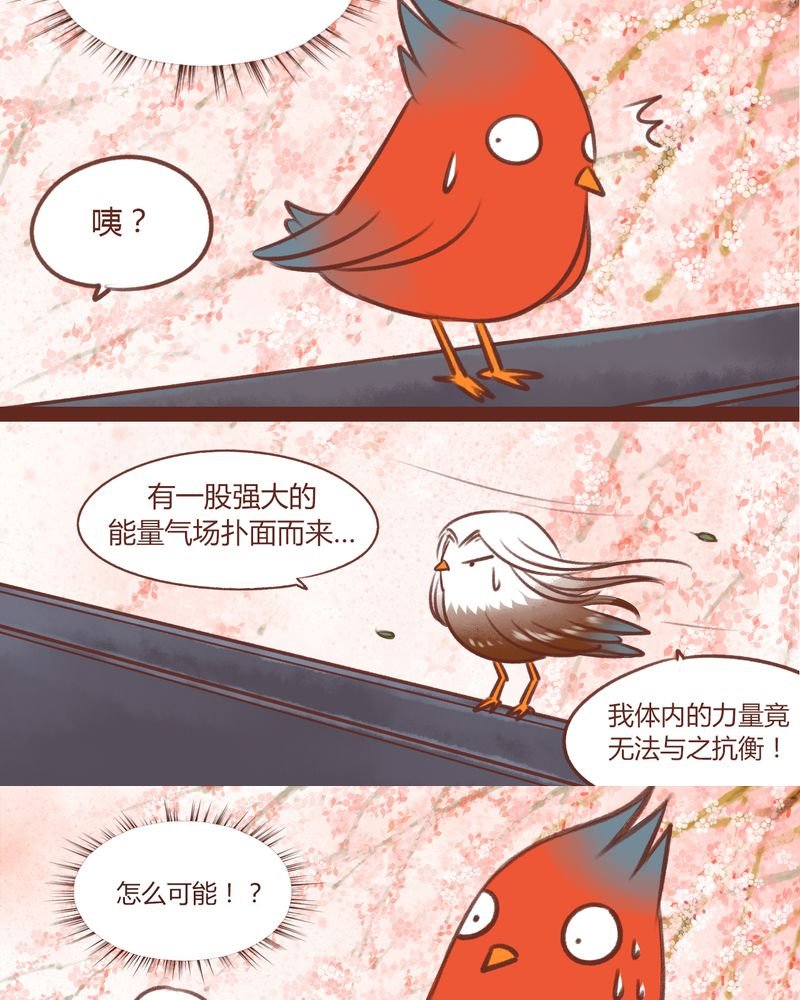 第13章：