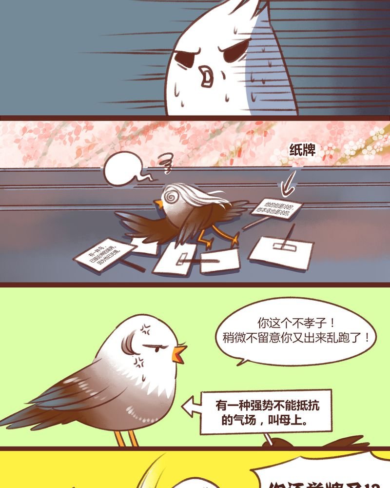 第13章：