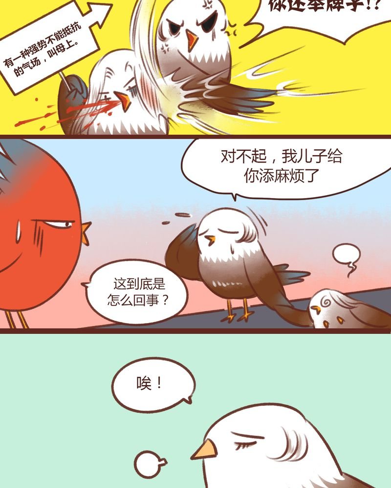 第13章：