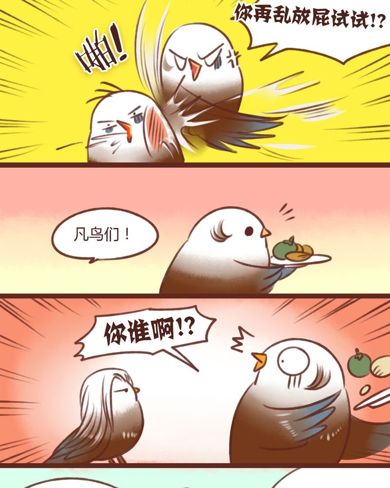 第13章：