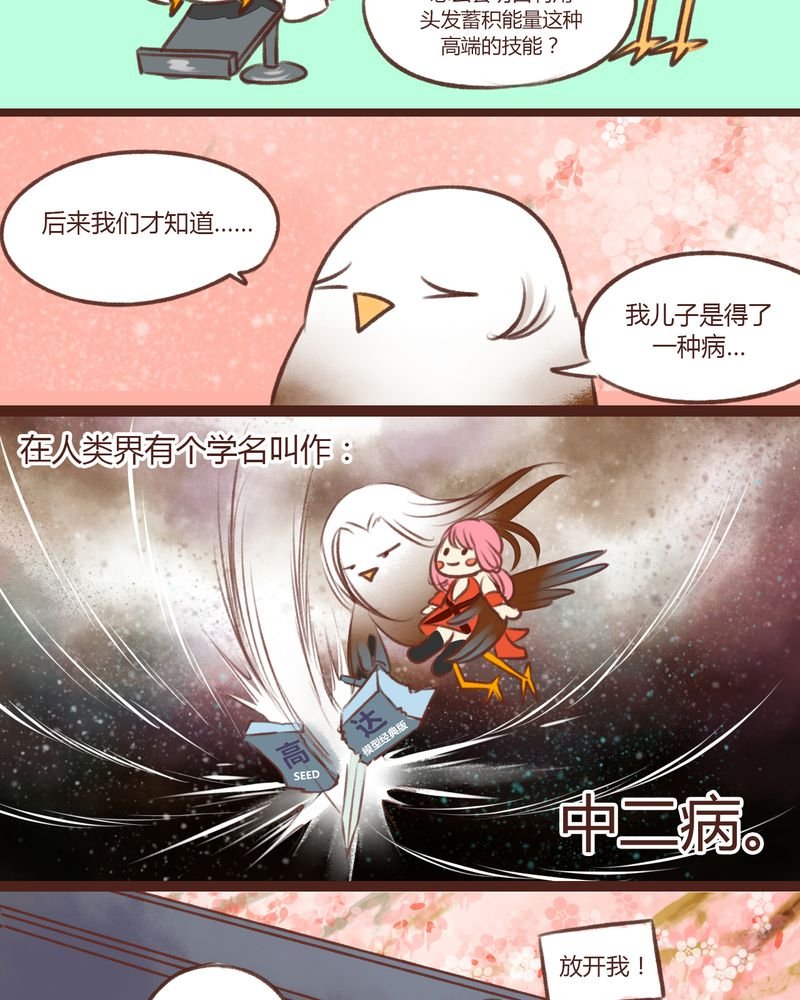 第13章：