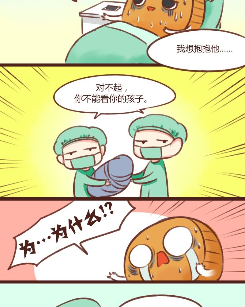 第13章：