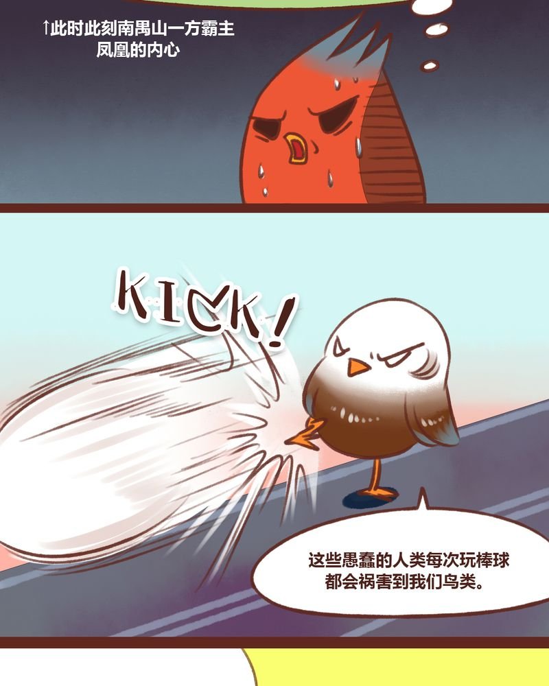第14章：