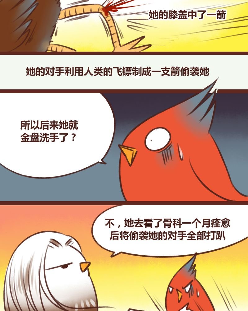 第14章：