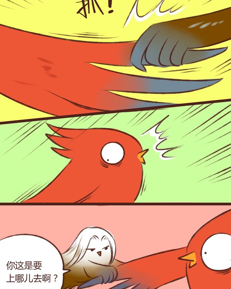 第15章：