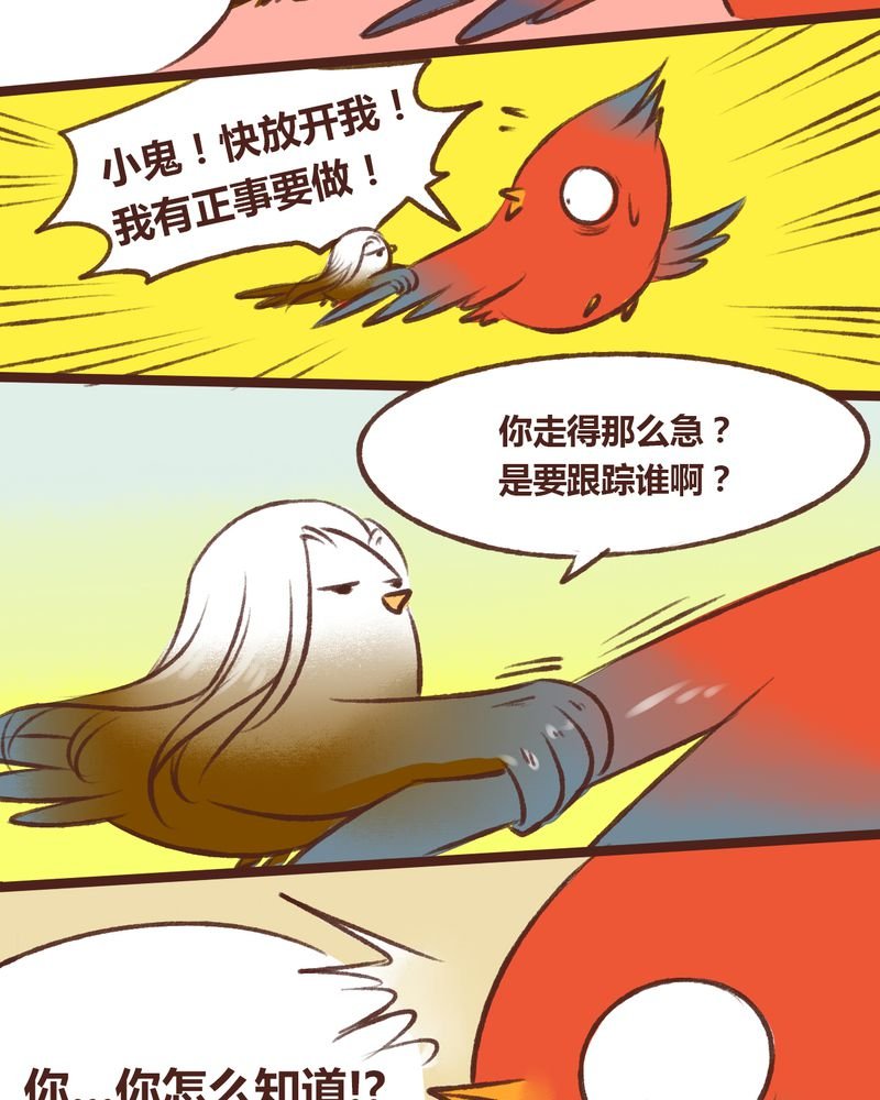 第15章：