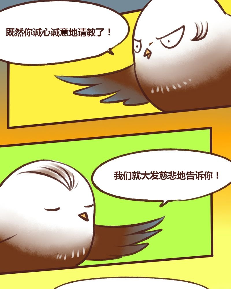 第15章：