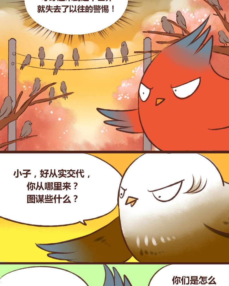 第15章：