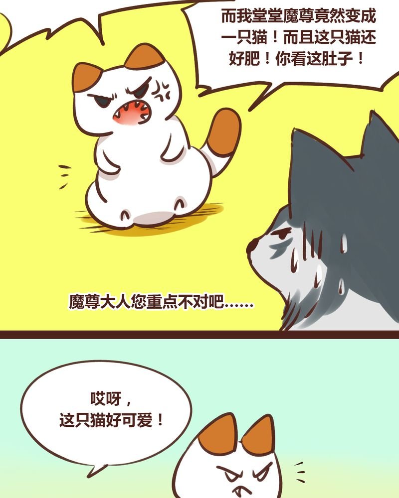 第17章：
