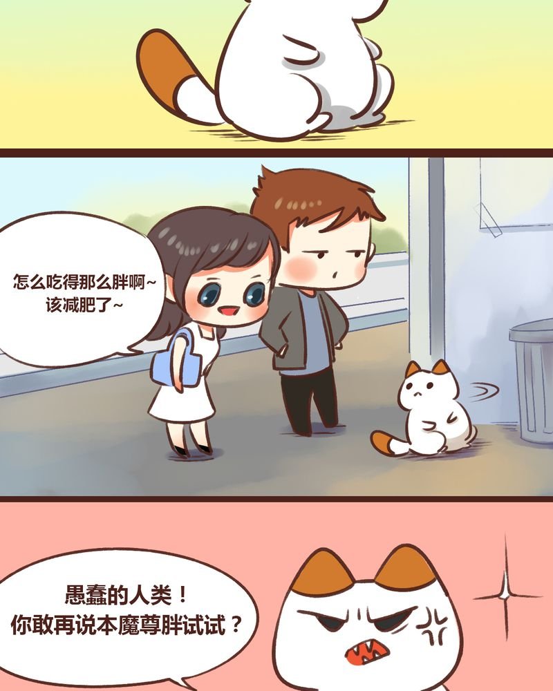 第17章：