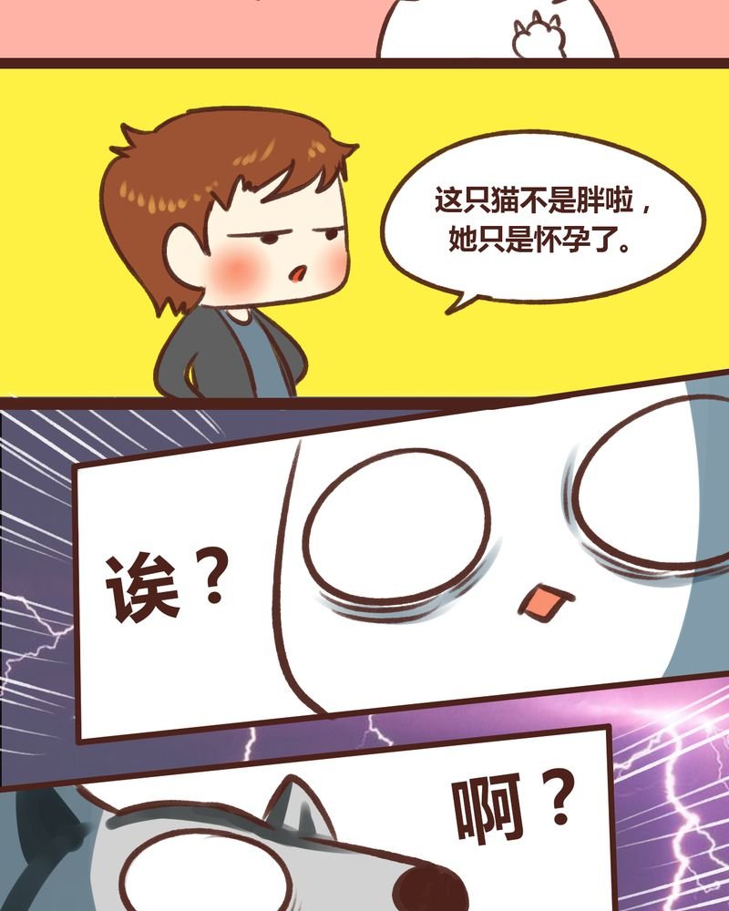 第17章：