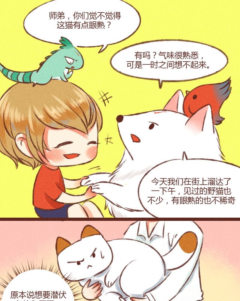第19章：