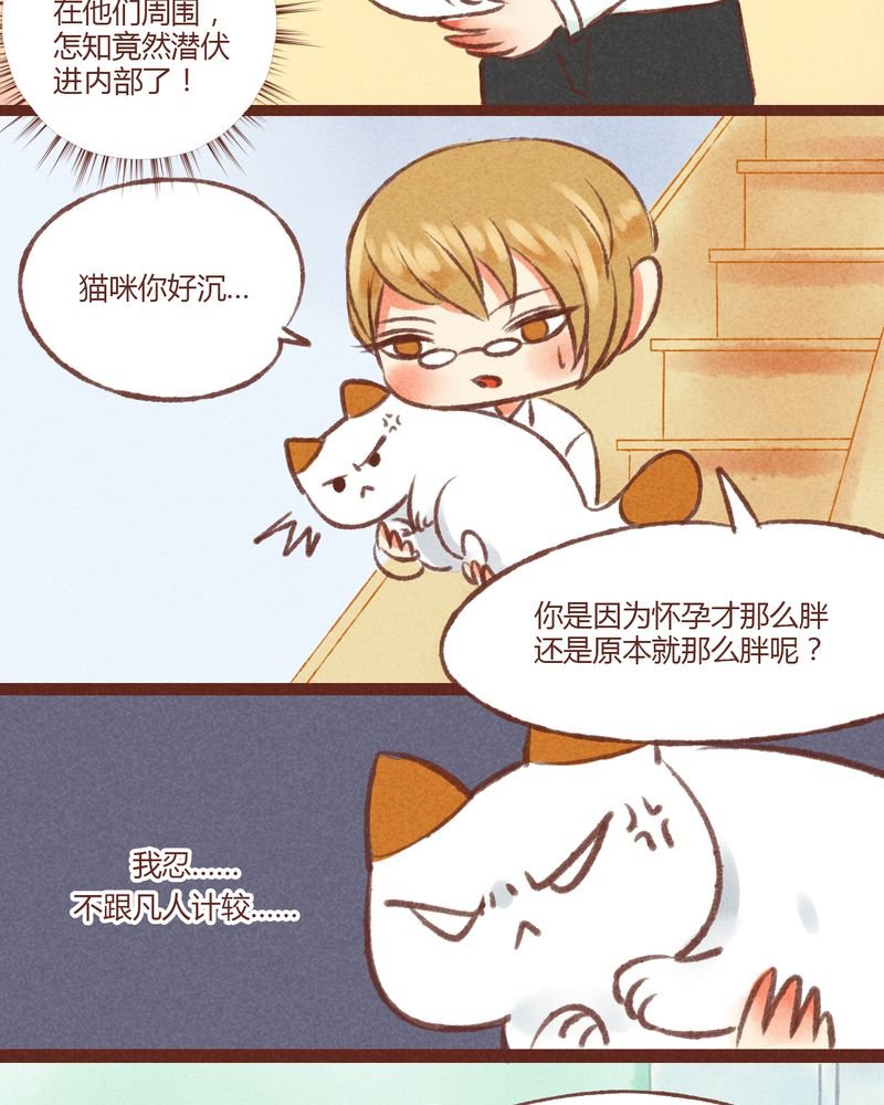 第19章：