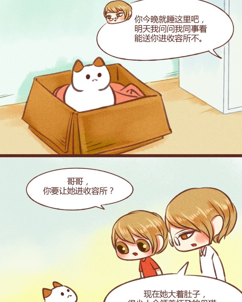 第19章：