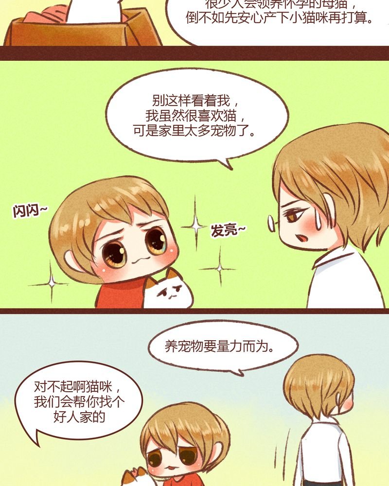 第19章：