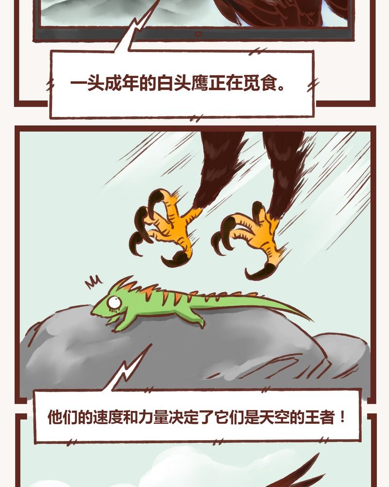 第2章：