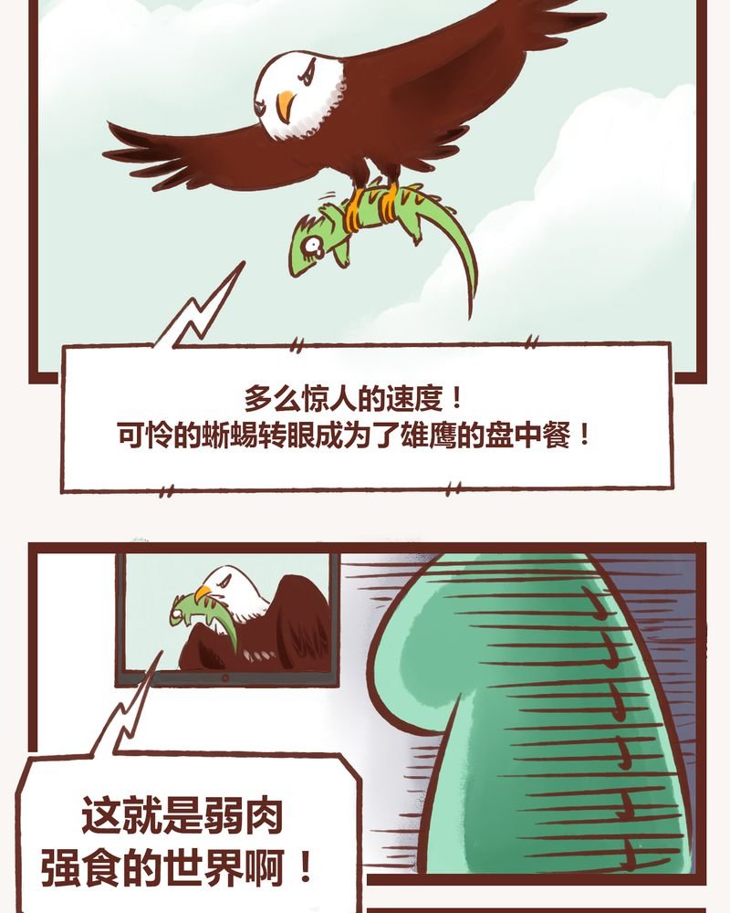 第2章：