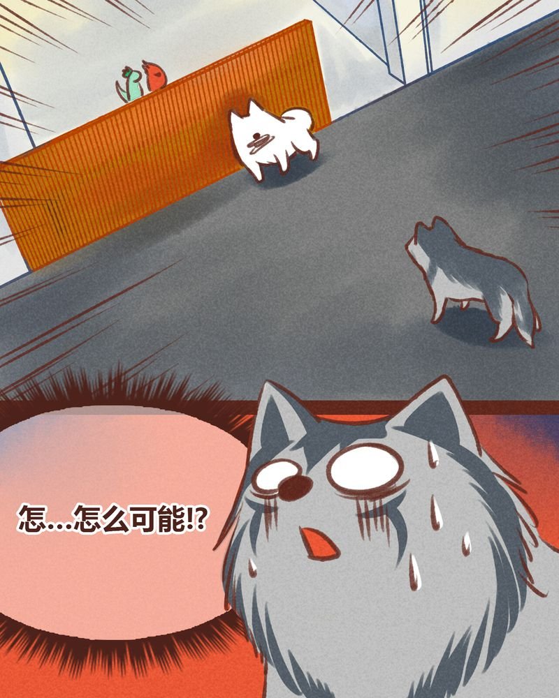 第20章：