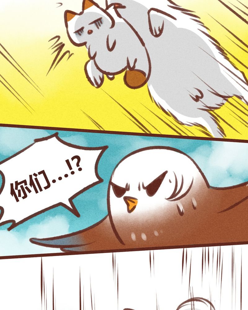 第20章：