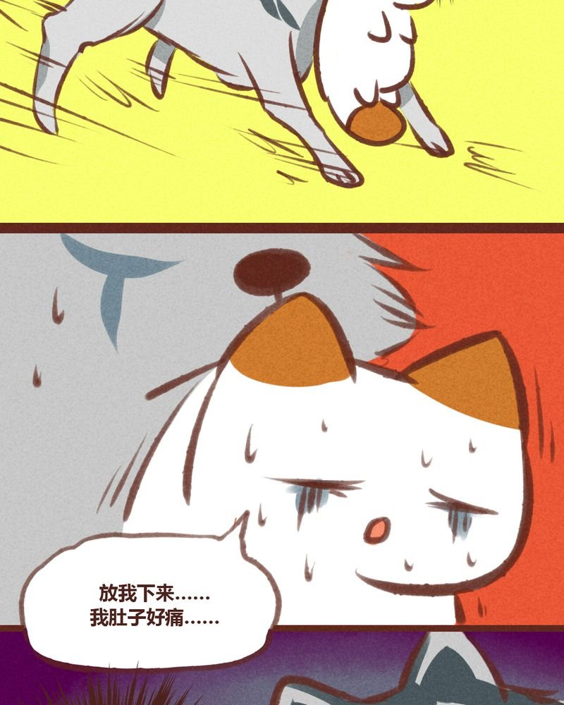 第20章：