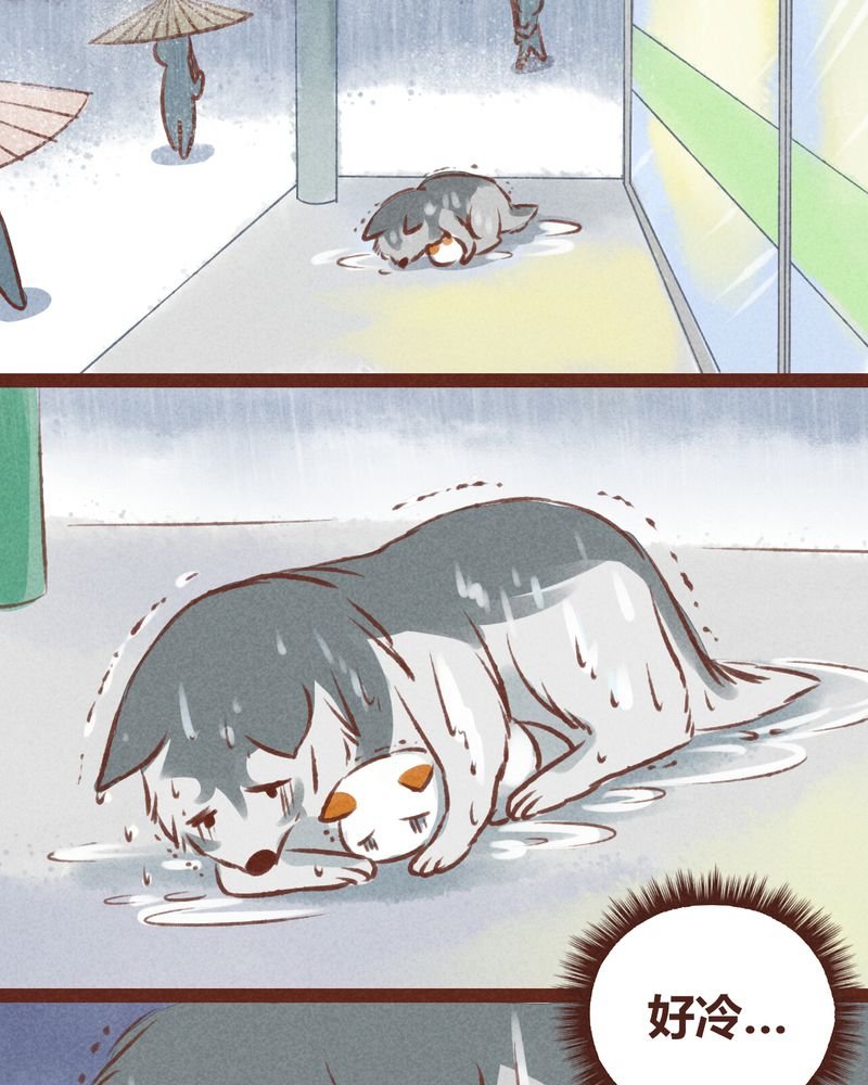 第20章：