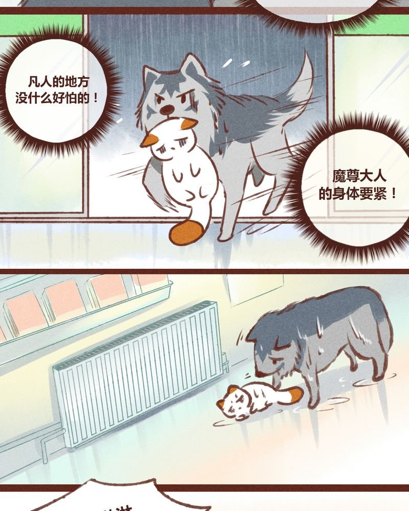 第20章：