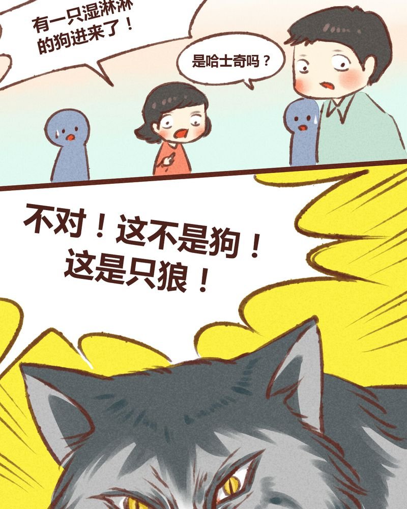 第20章：