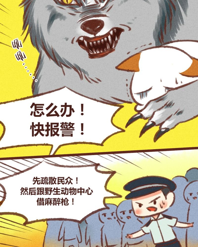 第20章：