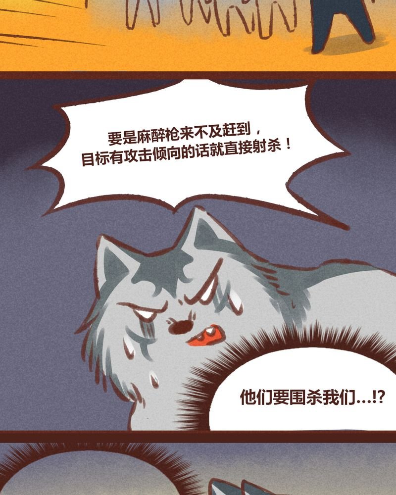 第20章：