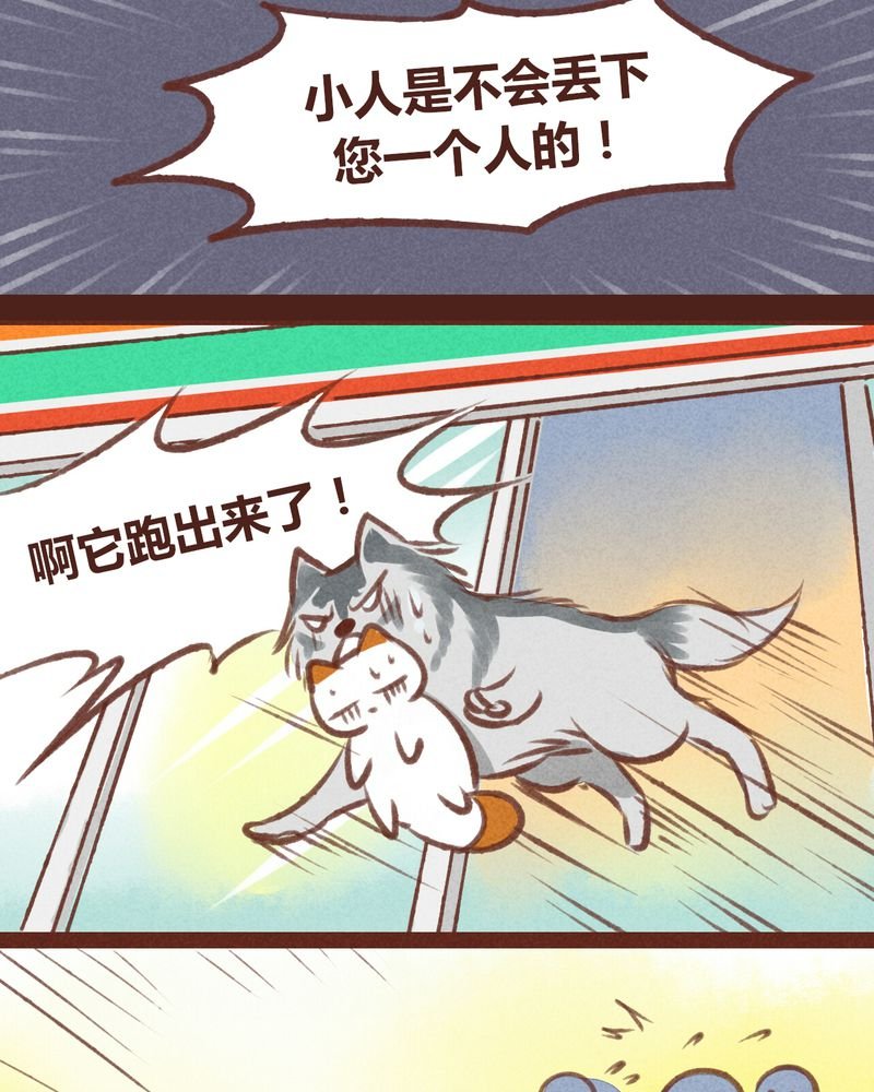 第20章：