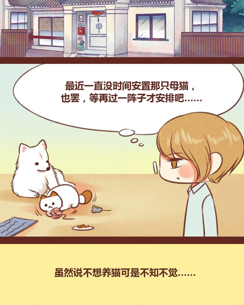 第31章：