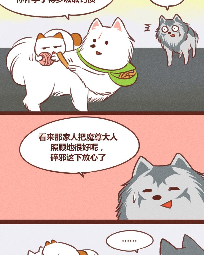 第31章：