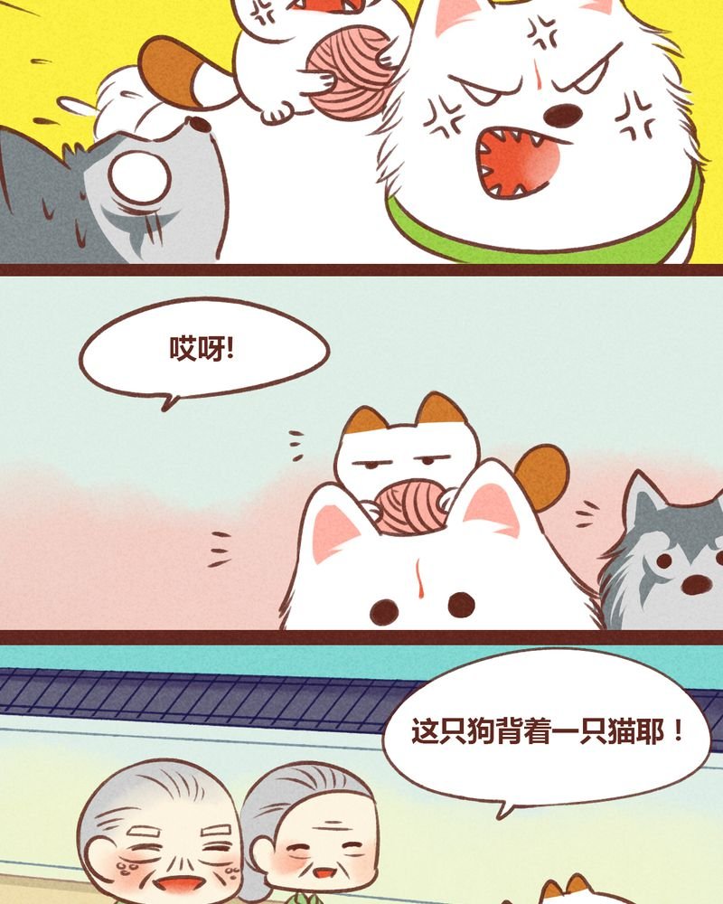 第31章：