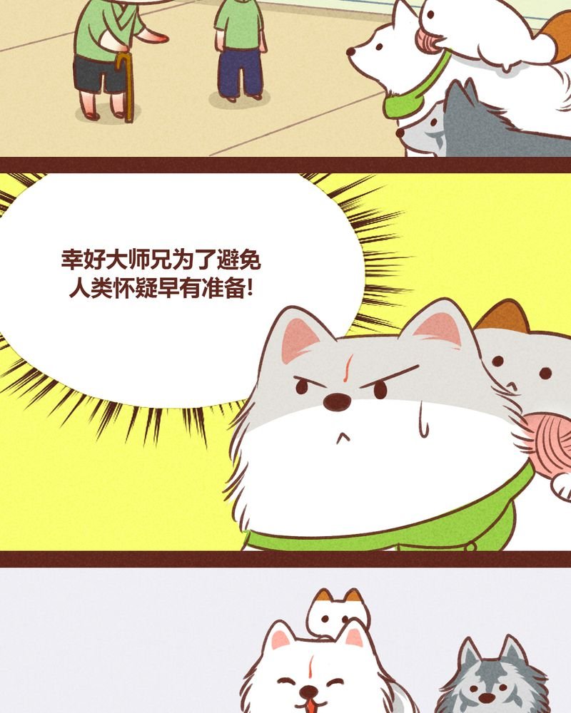第31章：