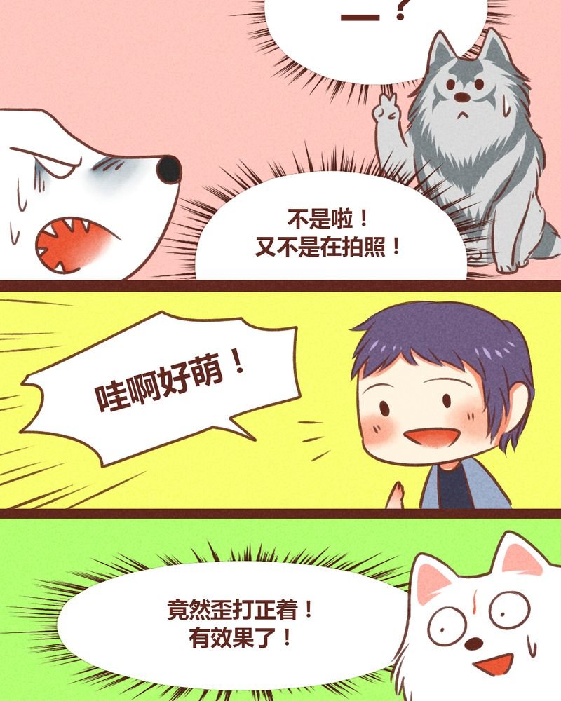 第31章：