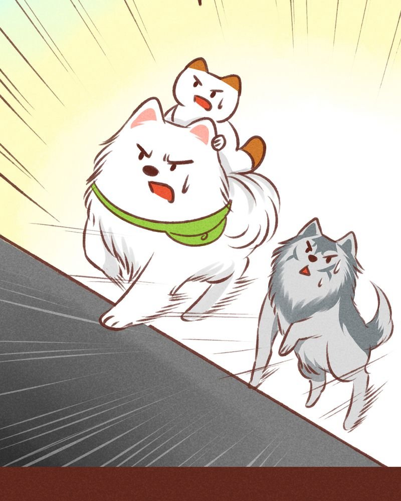 第31章：