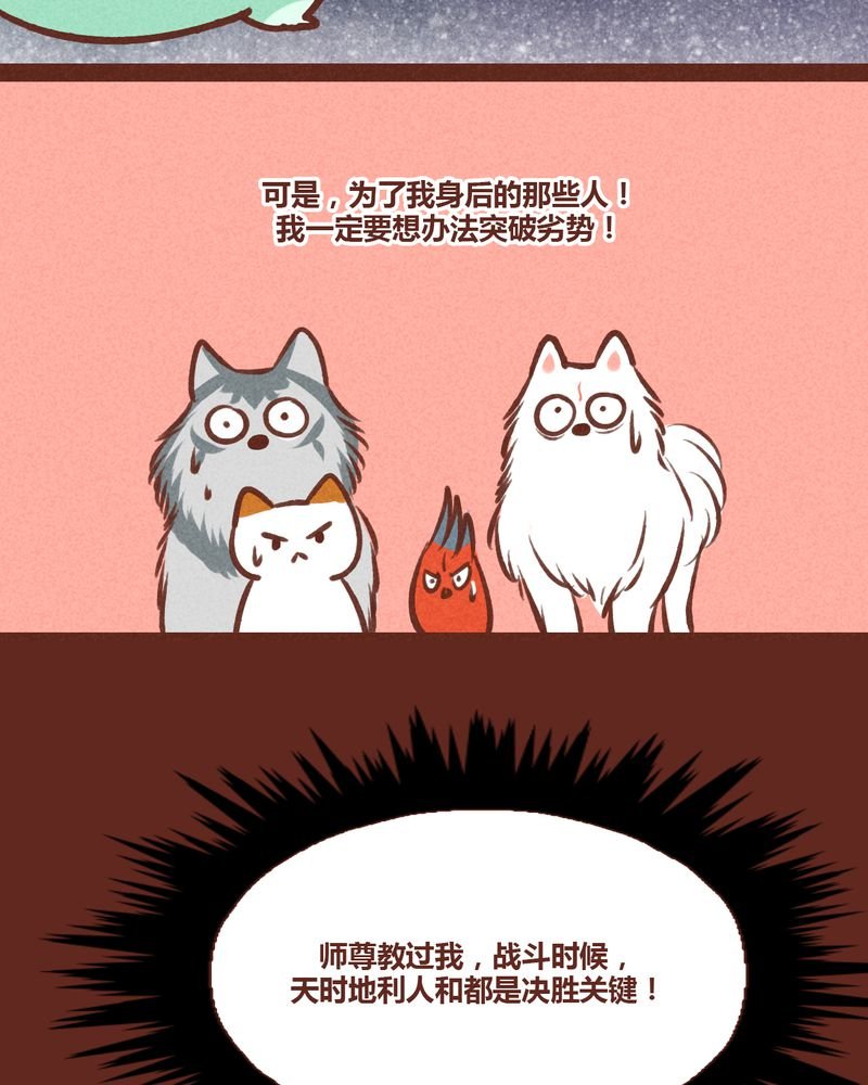 第38章：