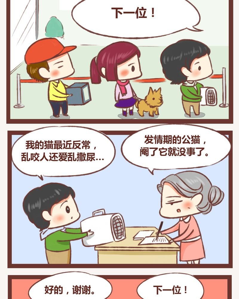 第4章：