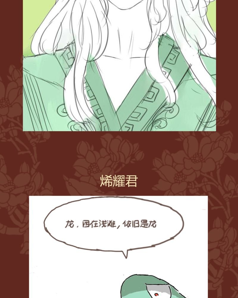 第41章：