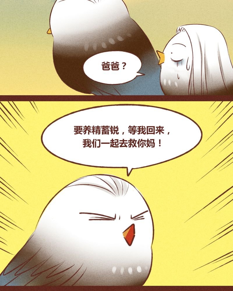 第43章：