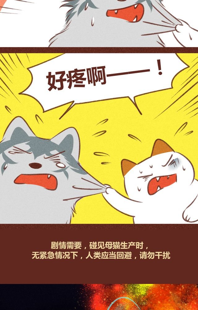 第61章：
